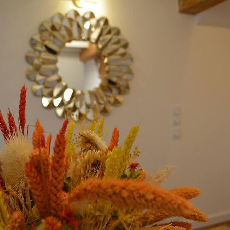 Charmant Appartement - Proche Chateau Cite Καρκασόν Εξωτερικό φωτογραφία