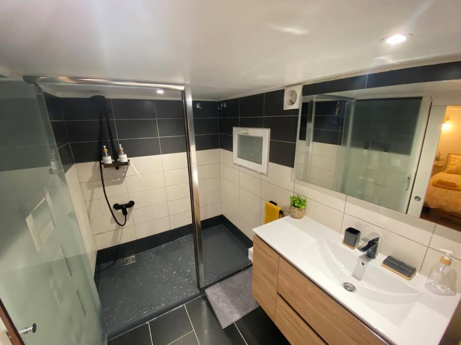 Charmant Appartement - Proche Chateau Cite Καρκασόν Εξωτερικό φωτογραφία