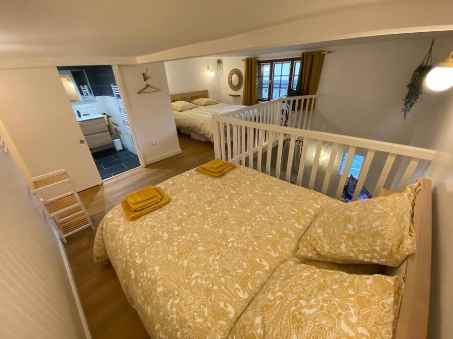 Charmant Appartement - Proche Chateau Cite Καρκασόν Εξωτερικό φωτογραφία