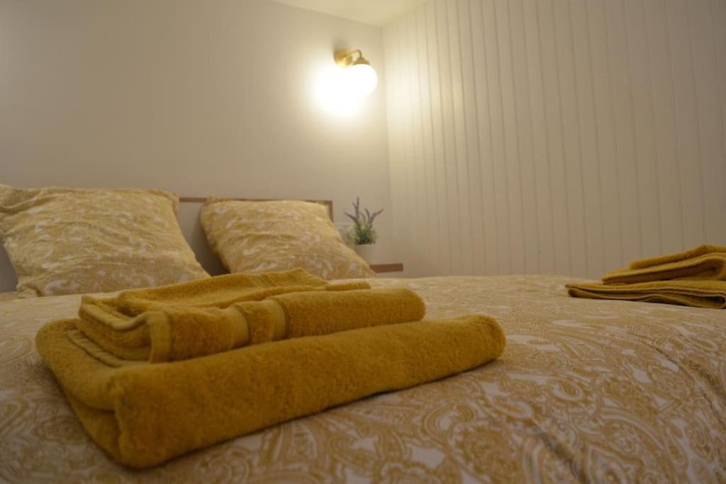 Charmant Appartement - Proche Chateau Cite Καρκασόν Εξωτερικό φωτογραφία