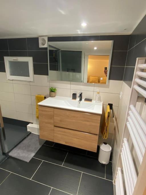 Charmant Appartement - Proche Chateau Cite Καρκασόν Εξωτερικό φωτογραφία